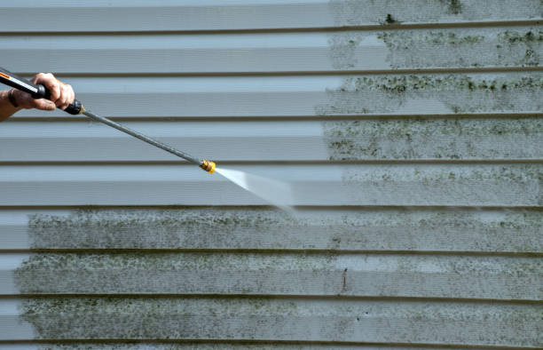 Trusted Lake Grove, NY Pressure Washing Services Experts